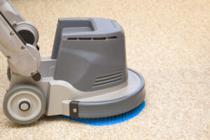 carpet cleaning Tampa, South Tampa, Brandon, St Petersburg, Clearwater, Wesley Chapel FL