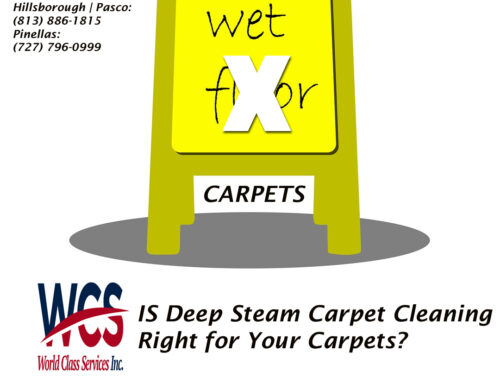 Why Opt-Out of Steam Cleaning Your Carpets?